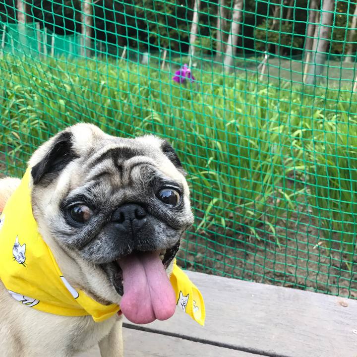 B61566ad de43 42c5 8535 74225e3d17f6