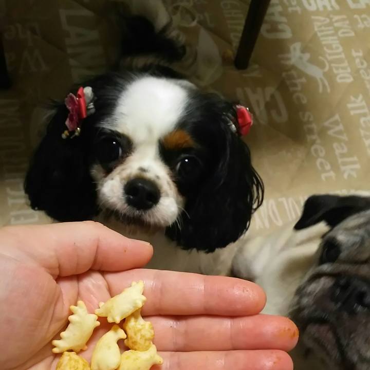 B61587af 00d3 4125 8b11 af50cc439734