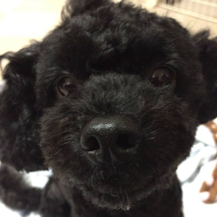 B615afb6 6428 4eb4 8cd2 d5088114f204