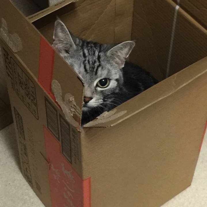 B6164338 87d8 47cb 8496 1703776cf2a3