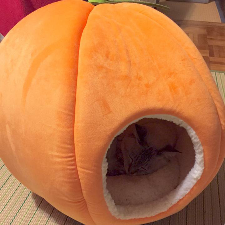 B617bc62 4e84 4bc7 9da8 99f586d23b29