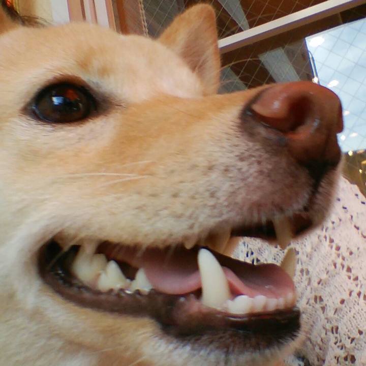 B617bfc1 d0f2 4955 bc76 e851d9f9b9db