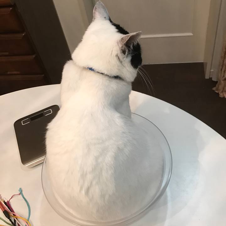 B617db0d 734a 49b3 af6d 4c029160ead5