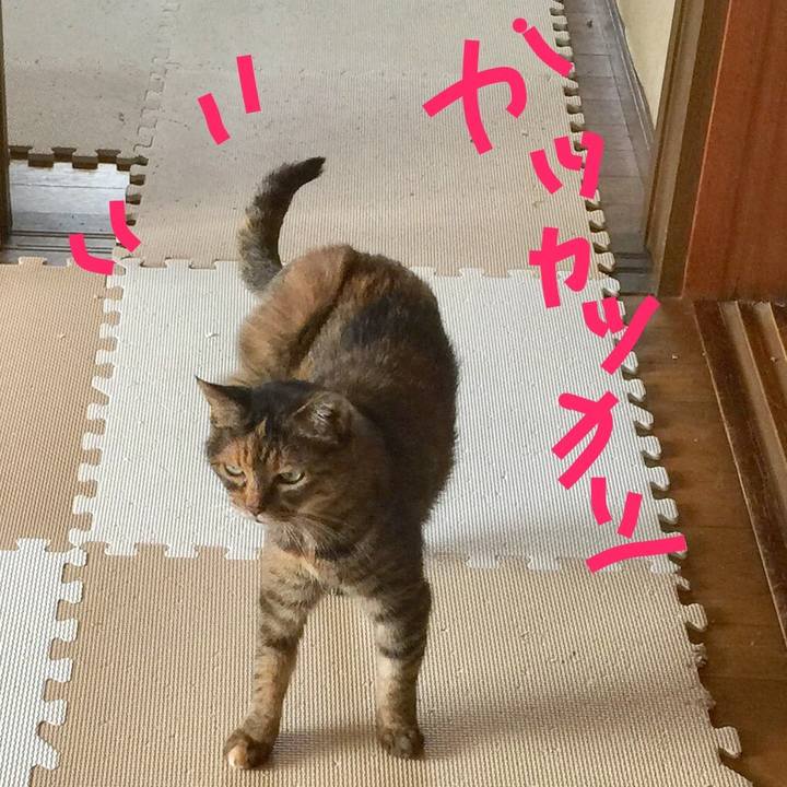 B618beed a10d 483f 9fc4 a0f30cfe391b