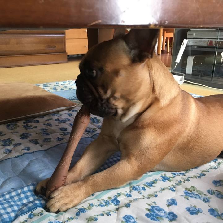 B618eddc b8fb 455d 9f3b f1e96edcbc66