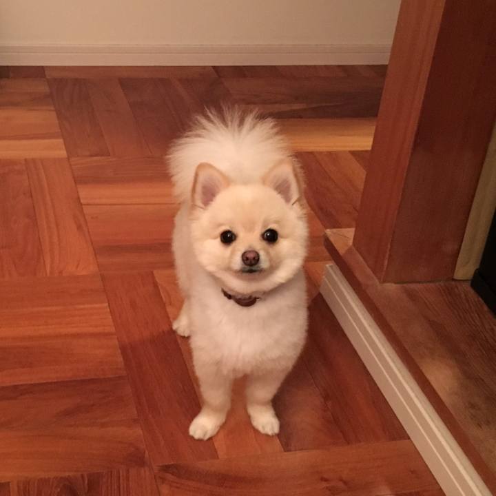 B618fc56 bb5b 495d 8d06 f7bb0096ecea