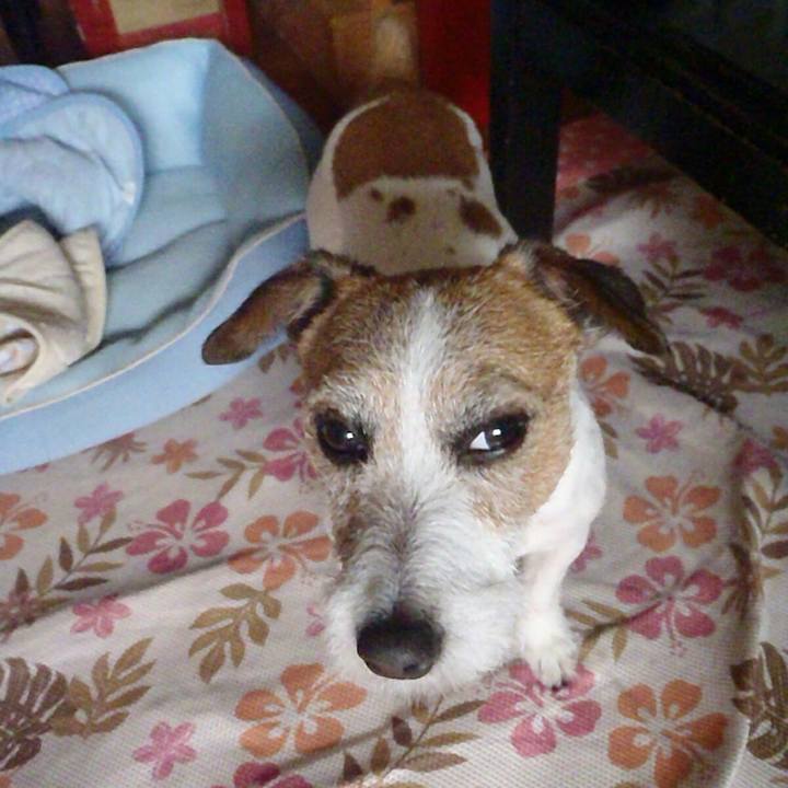 B61a1142 ffc2 4f95 b849 b3335c1d1f8e