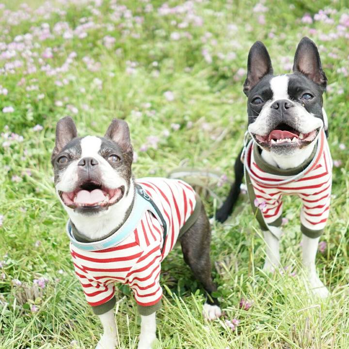 B61ada9f 64b6 4845 a259 854a5e33e51d