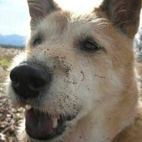 B61b373d e1e7 4990 9137 5d5ec40e3769