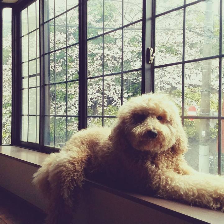 B61c06f6 525a 4b2d 8f29 7766e713ff26