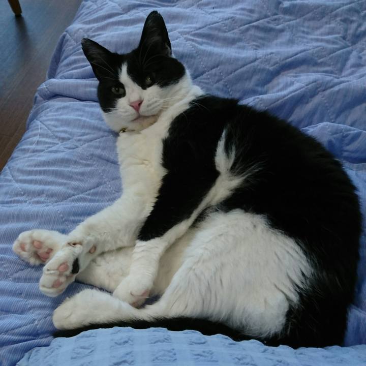 B61c1d02 d767 4b36 bbf8 24354a23876c