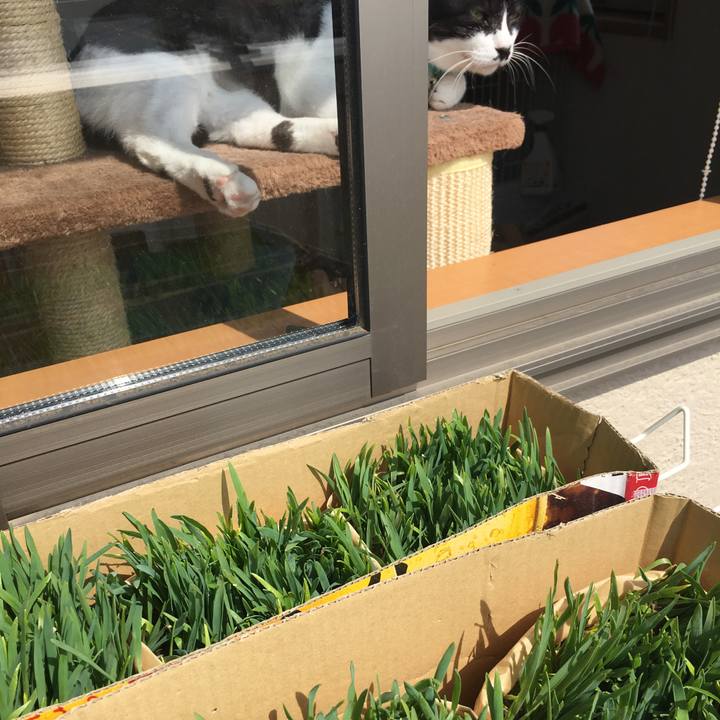 B61c72d0 8b6c 43cf a02c 68dd4914b32b