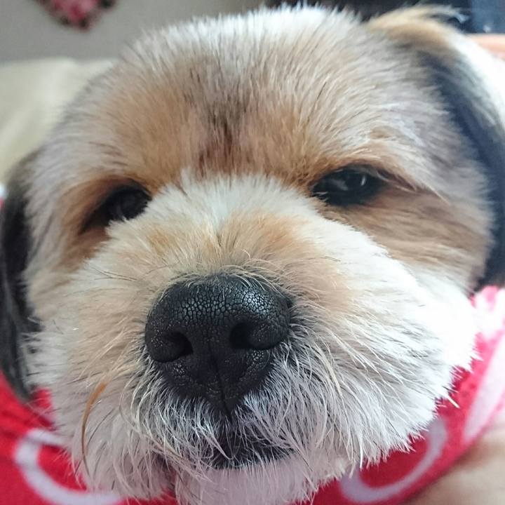 B61cd40a 559d 4bfb 9309 0ddea45d8333