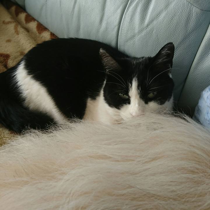 B61ea7b7 d011 4c1b b76d a631e1a640c8