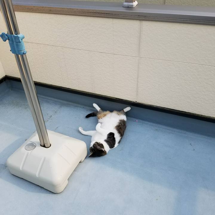 B61ea8f7 3289 425d acc7 b1c01a2f65ba