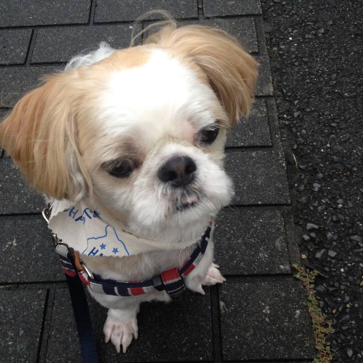 B61eb763 5fb4 45e9 a00c e8e7bf8f64be