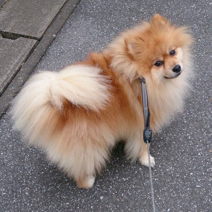 B61eb79b 67ce 4fe4 b41e 9af82947426b