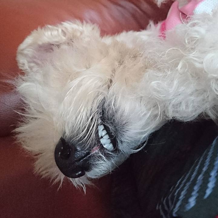 B61ee0e2 39dd 4a12 9b7f b15f38b8e6f9