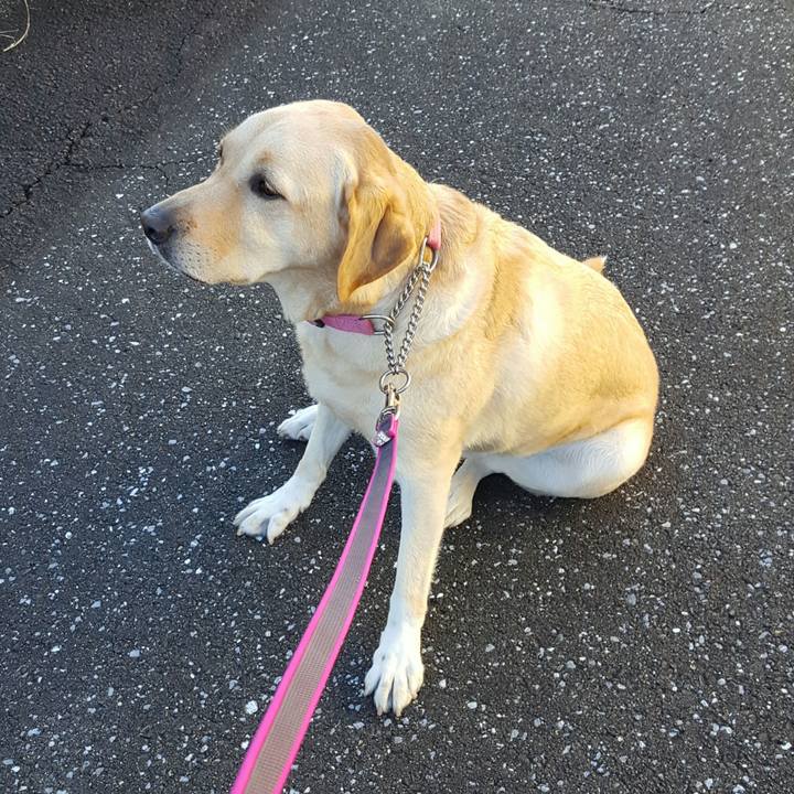 B61fadd4 31ee 4c2d 8afa a2ac90bbd0d1