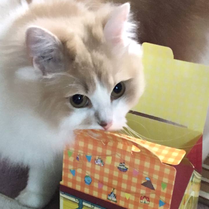 B6207811 b34f 4c8c b56c e25dfa6ed6ba