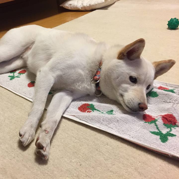 B6209ef4 3758 4550 8686 9c9781145cff