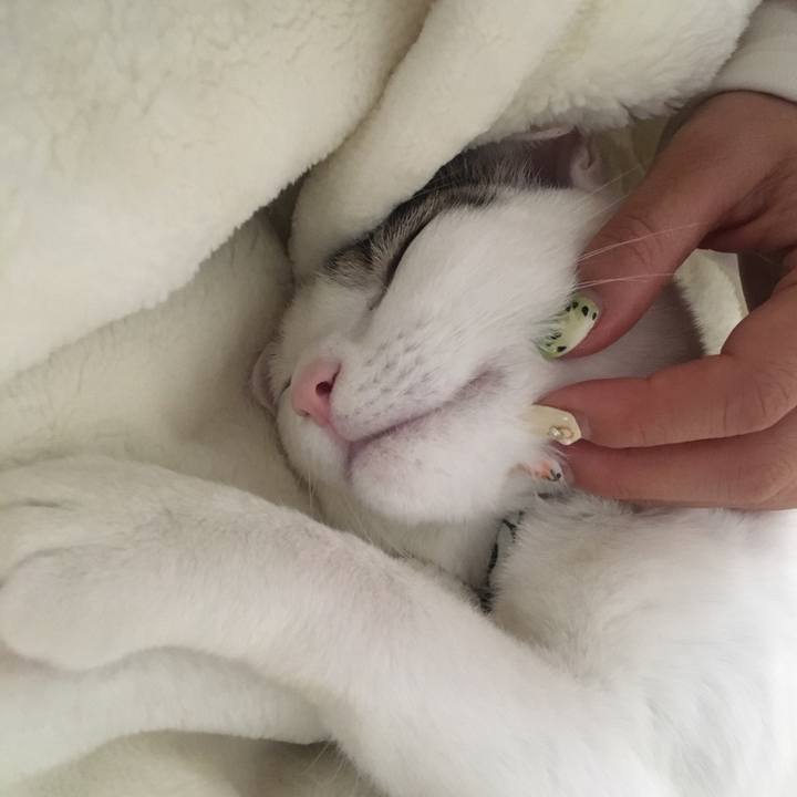 B620c2e6 ee2b 435b 9b76 876365611588