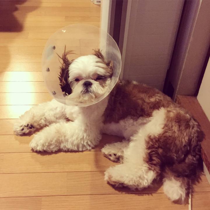 B620d83f 43fa 4c75 b453 009c45f812ec