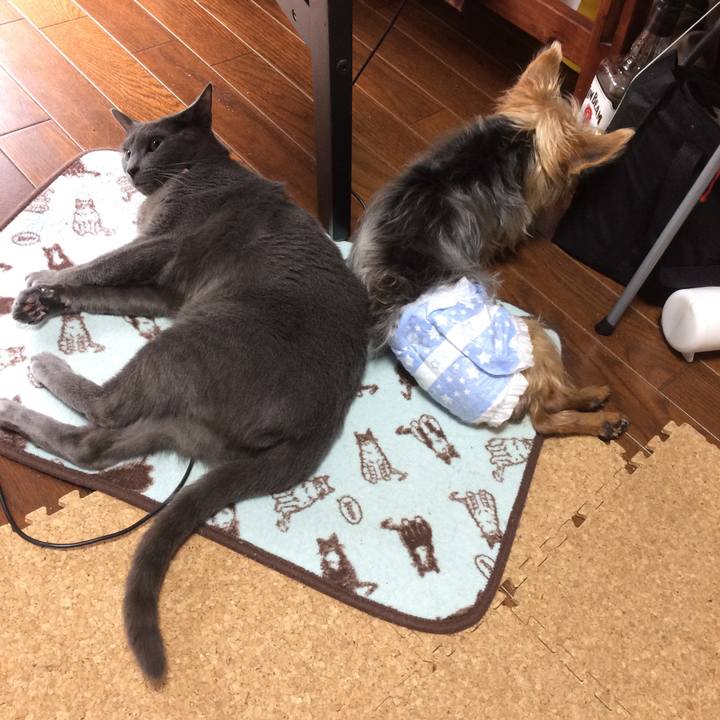 B620ec1e 8387 4e68 a0d0 ac0185339e66