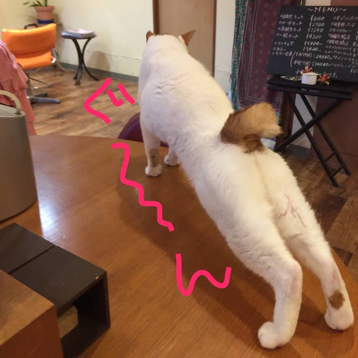 B620ffc1 d1fb 4f35 af52 eb8cd40ca549