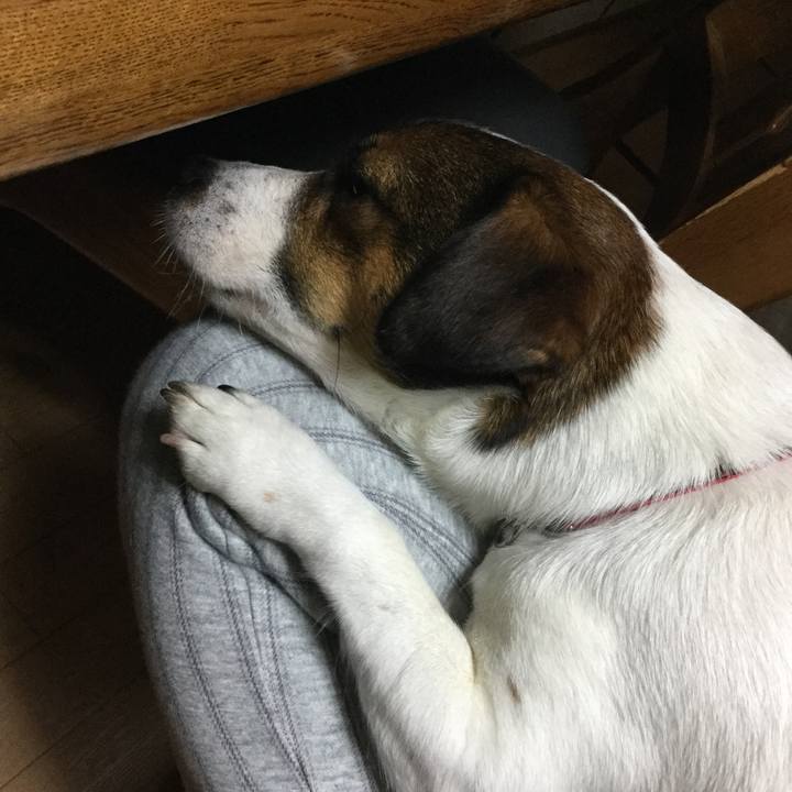 B6214a28 fd64 48a2 8577 76a845831c2c