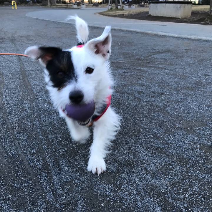 B621d7ef f27f 4868 95ee a8a213a9a94d