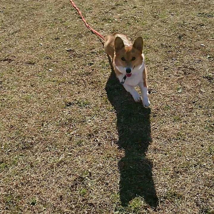 B6223dce 9914 4f3d 810a 51ba460800f4