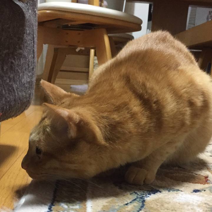 B6236d94 9836 4fb3 aa61 a65d3c89a01b