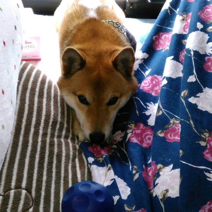 B623a497 3683 4cbf ba89 50b71fb6028e