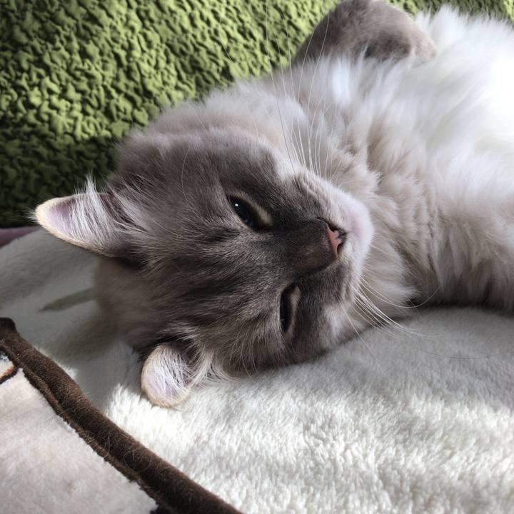 B623ad44 4b47 4da6 9ffd c1759ced5bbb