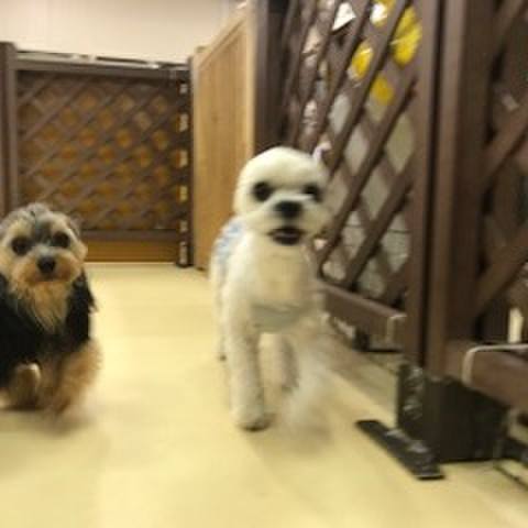 B625b0ba f03a 48ae 8d1d 327548250fb7