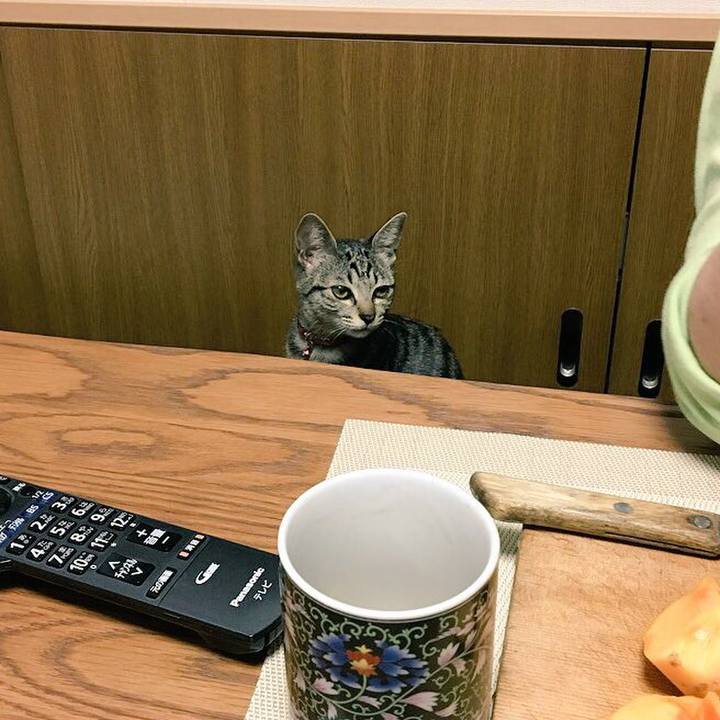 B625c13e 62e7 4fcf a80d 292885409391