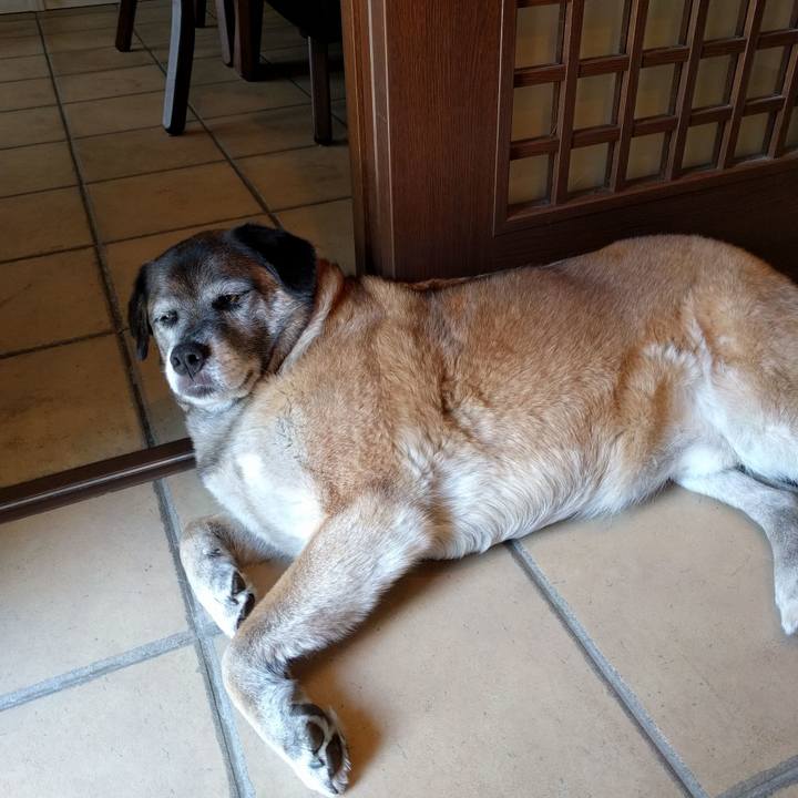 B626318f 89d0 4be2 ab6d 6549bfefb06c