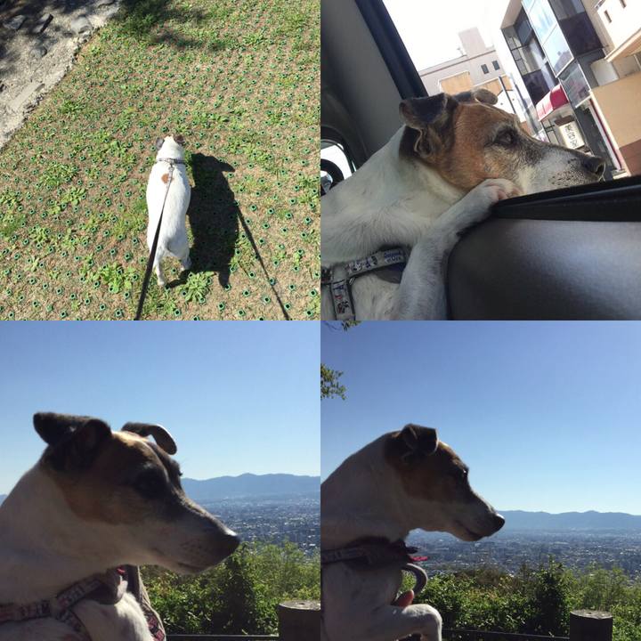 B6267c2c cc1f 49ec 8b4a ae4f7c21999b