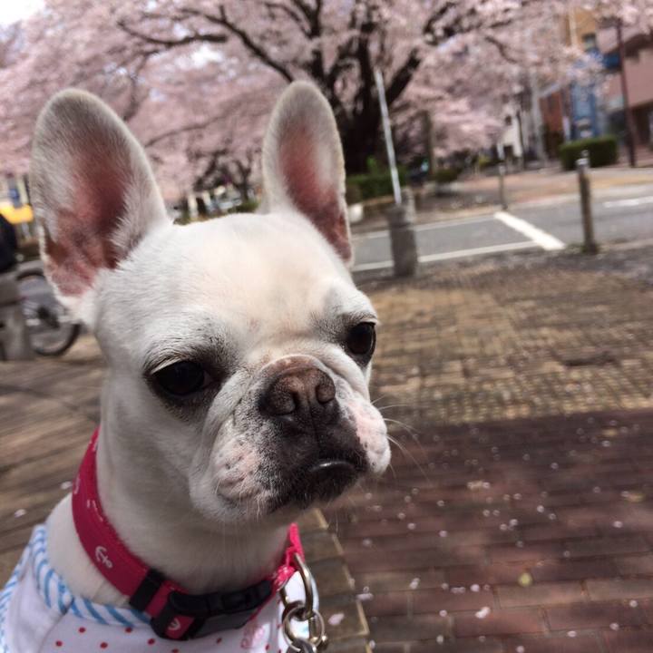 B6281446 2341 4b9a 9e14 12c19d07196a