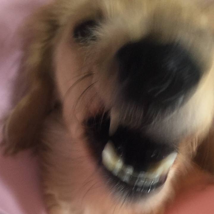 B6284560 39a5 4fff adac 08857b3732f1