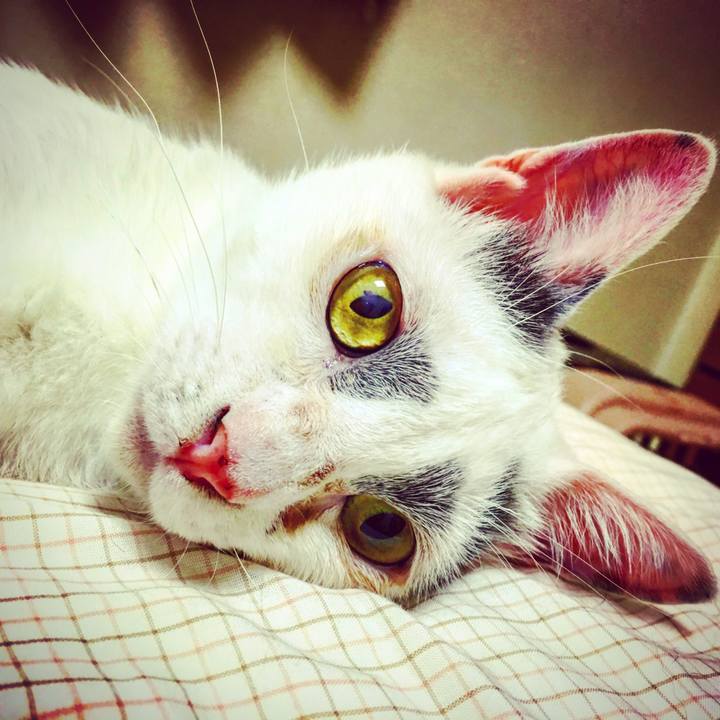 B62a35ca 21f3 4a03 be98 5d3c0a4d78e7