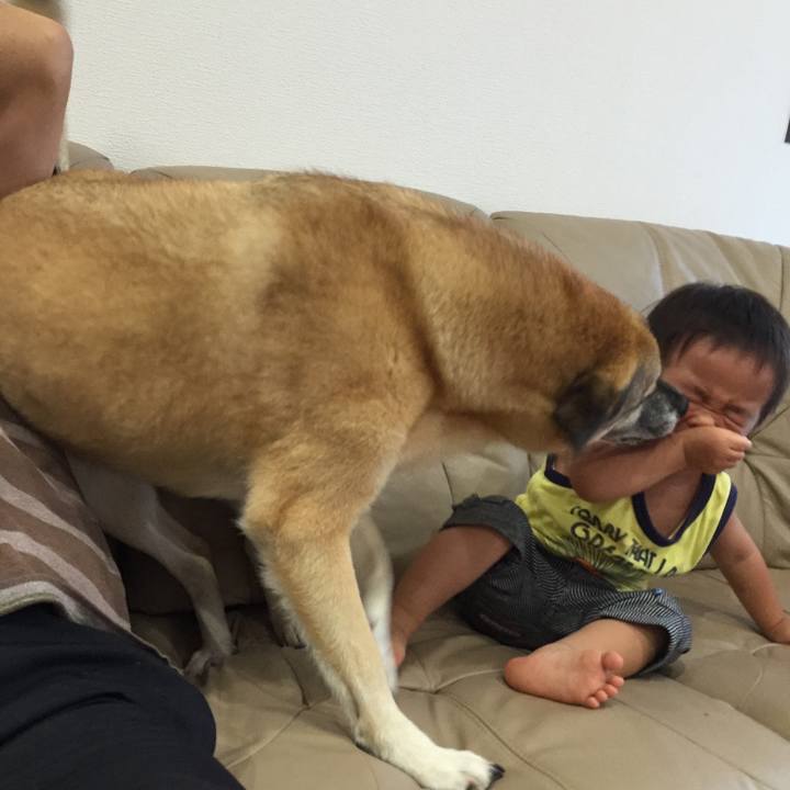 B62a640e ae69 4997 8661 04fb31890fc5