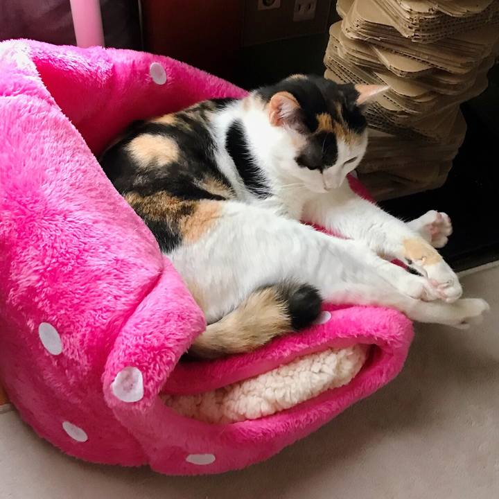 B62a7123 8da9 4676 afe4 bc529e8f17b1