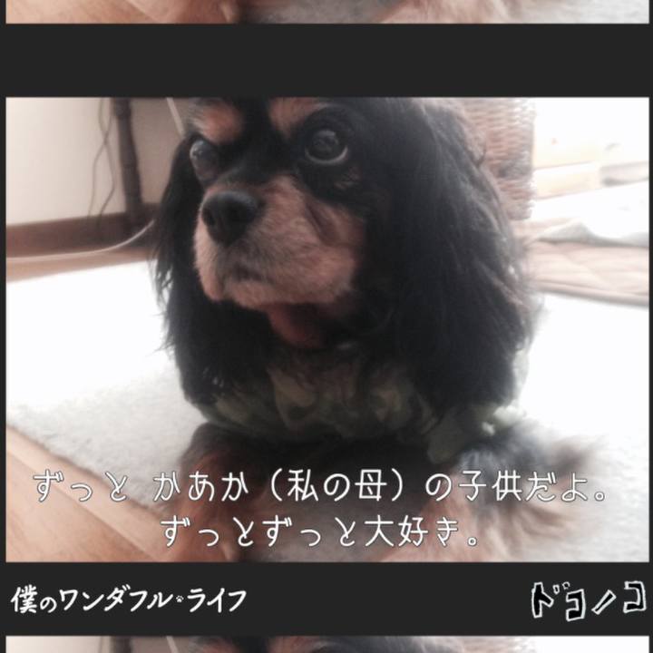 B62a80e5 ce1f 4f48 b216 a3f84f7d395e