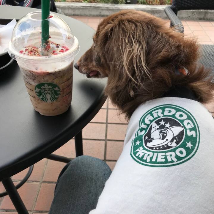 B62aa25d 56ed 4d2c af00 0516a1031a74