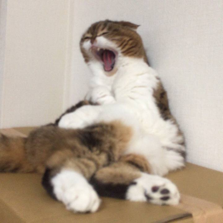 B62abb63 181b 42fd 87ea 6d6df11c86a0