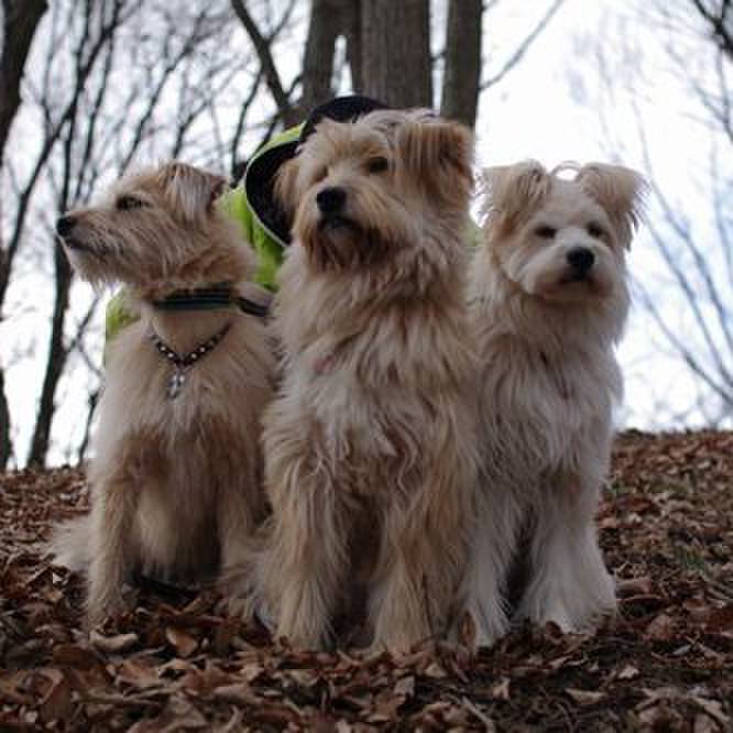 B62ae15f 54c3 43fe b50a 4a091fe38d6b