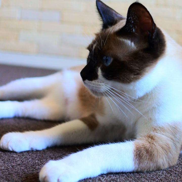 B62b08f3 0aa6 410e aa66 2b7014f17d05