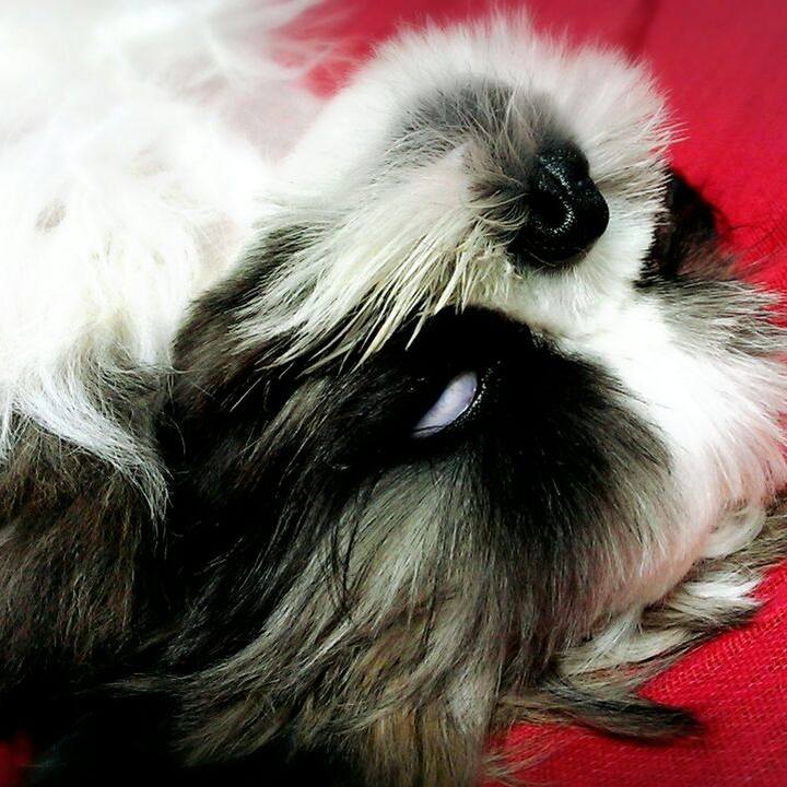 B62ba958 59e4 4391 96d9 68b057a58d8d